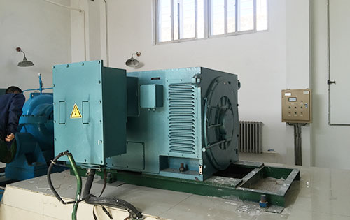 Y7108-12某水电站工程主水泵使用我公司高压电机一年质保